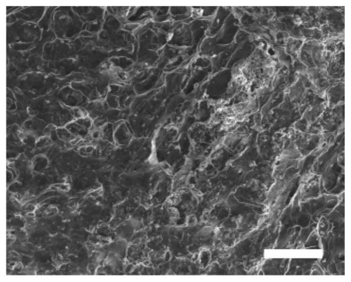 An assembled cell-derived extracellular matrix membrane composite bone repair material and its preparation method and application