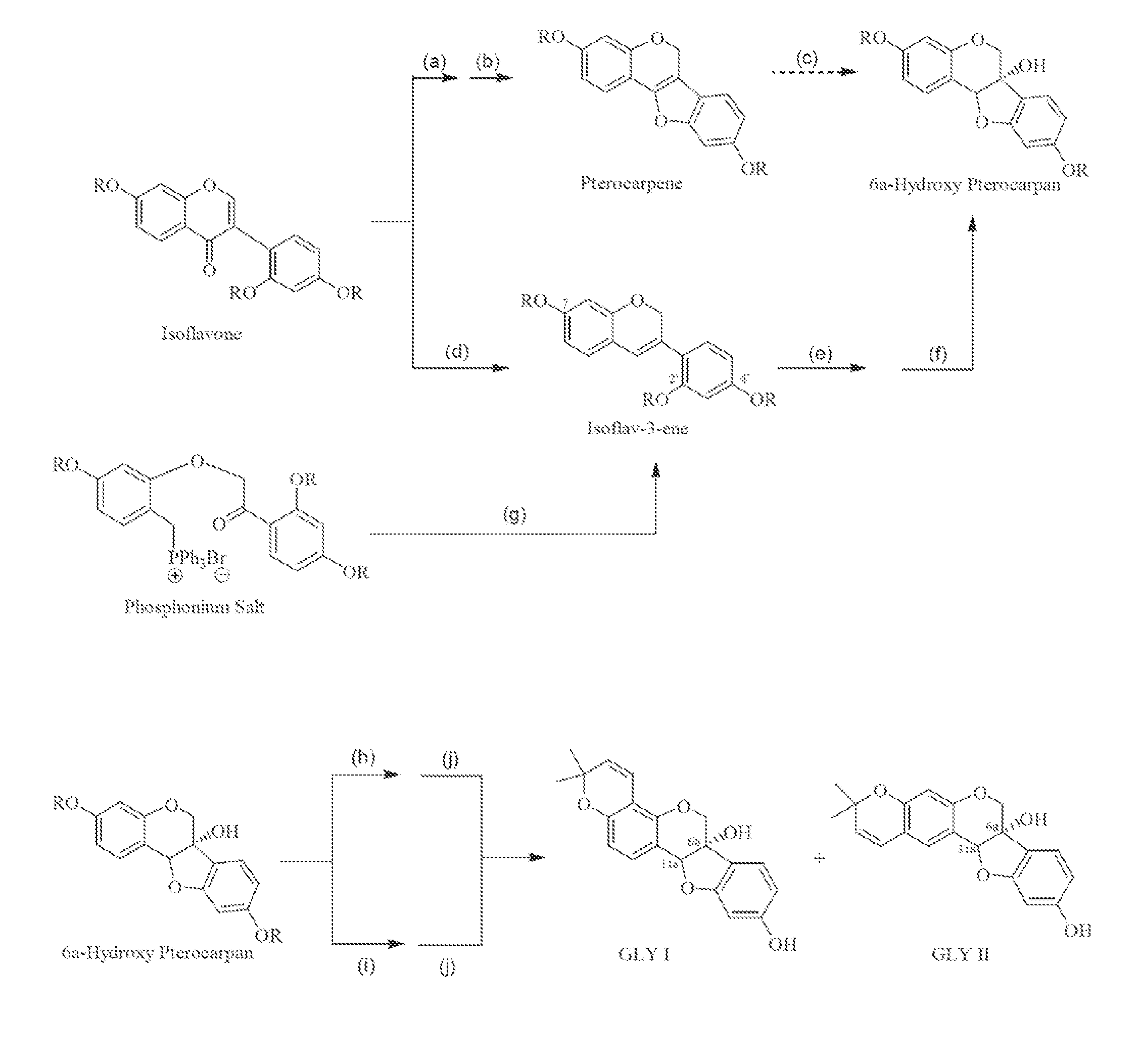 Methods for synthesizing glycinols, glyceollins i and ii, compositions of selected intermediates, and therapeutic uses thereof