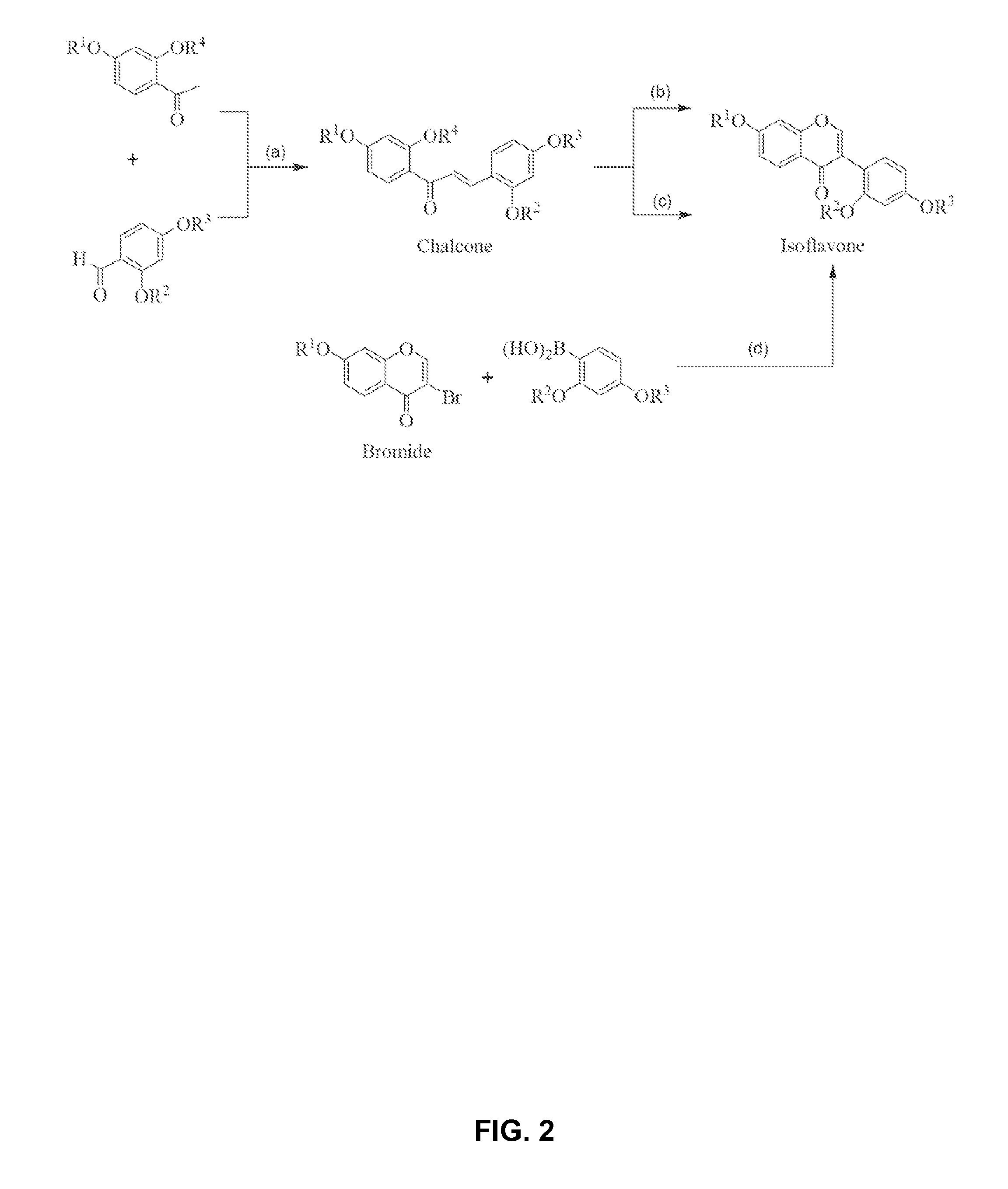 Methods for synthesizing glycinols, glyceollins i and ii, compositions of selected intermediates, and therapeutic uses thereof