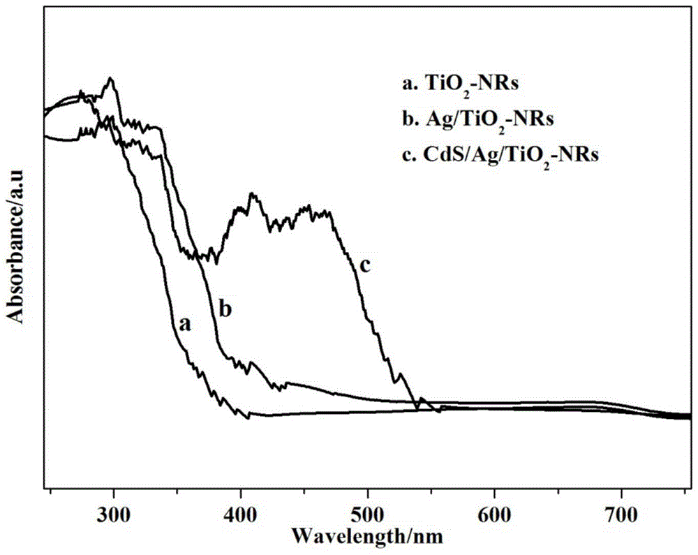 Composite titanium dioxide nanoflower photoelectrocatalysis material and preparation and application thereof