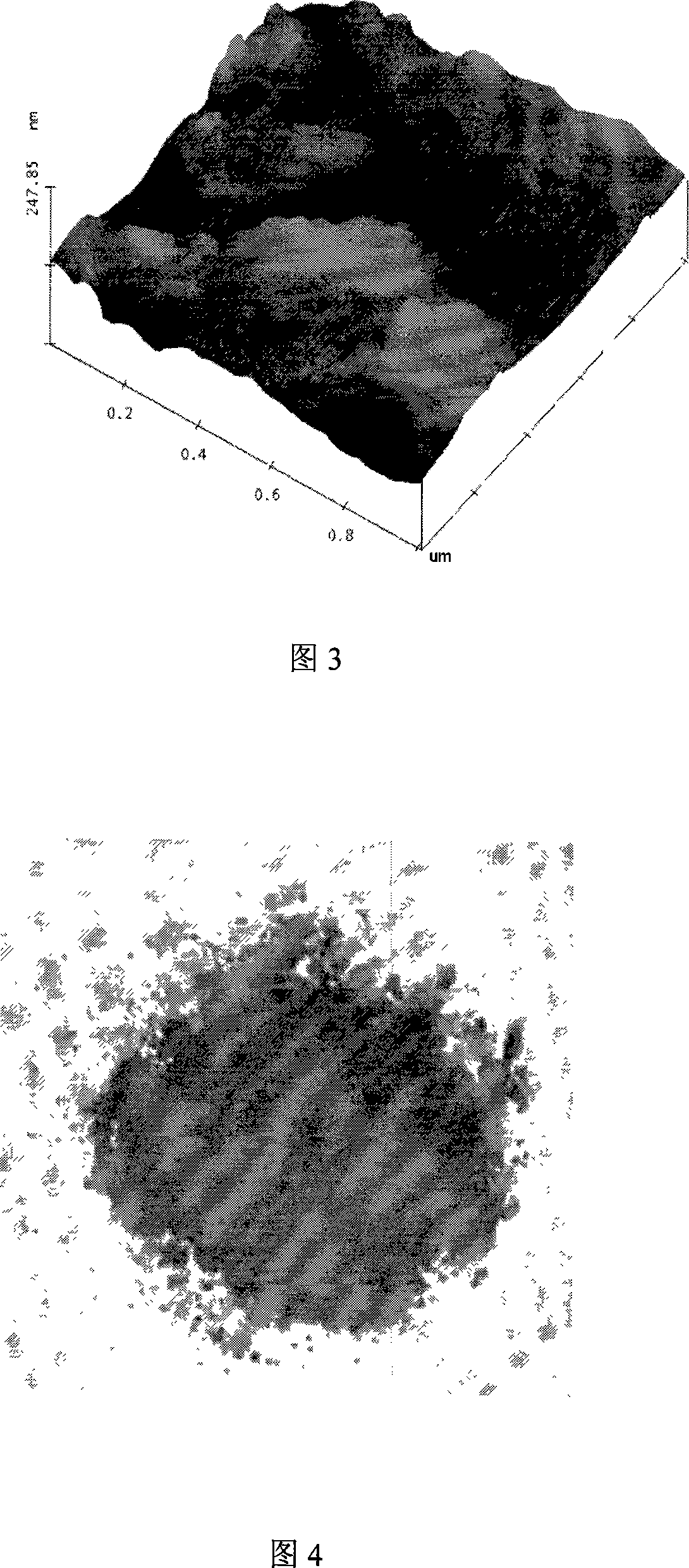 Organic powder using tourmaline manganese-supported to inhibit sulfate-reducing-bacteria and preparation method