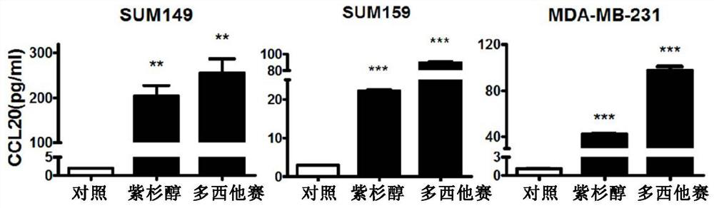 Application of ccl20 in tumor chemotherapy efficacy evaluation and tumor treatment