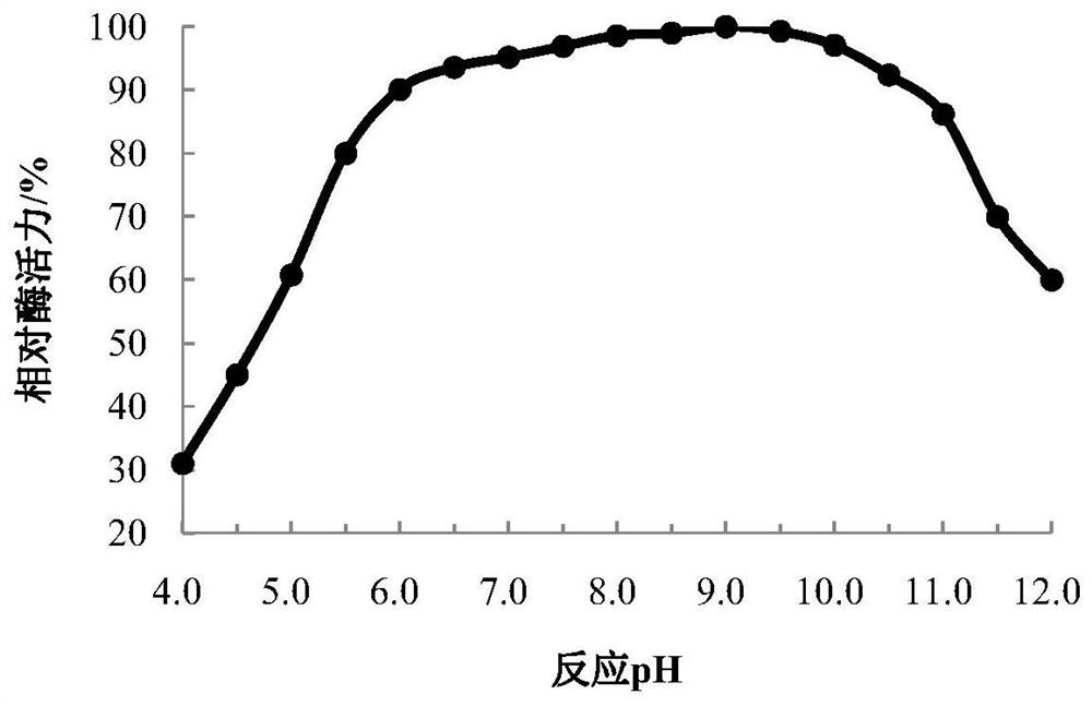 Strain for producing heat-resistant alkaline cellulase with high yield and production method thereof