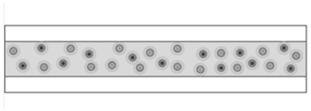 Quantum dot material and preparation method thereof, quantum dot film, backlight module and display equipment