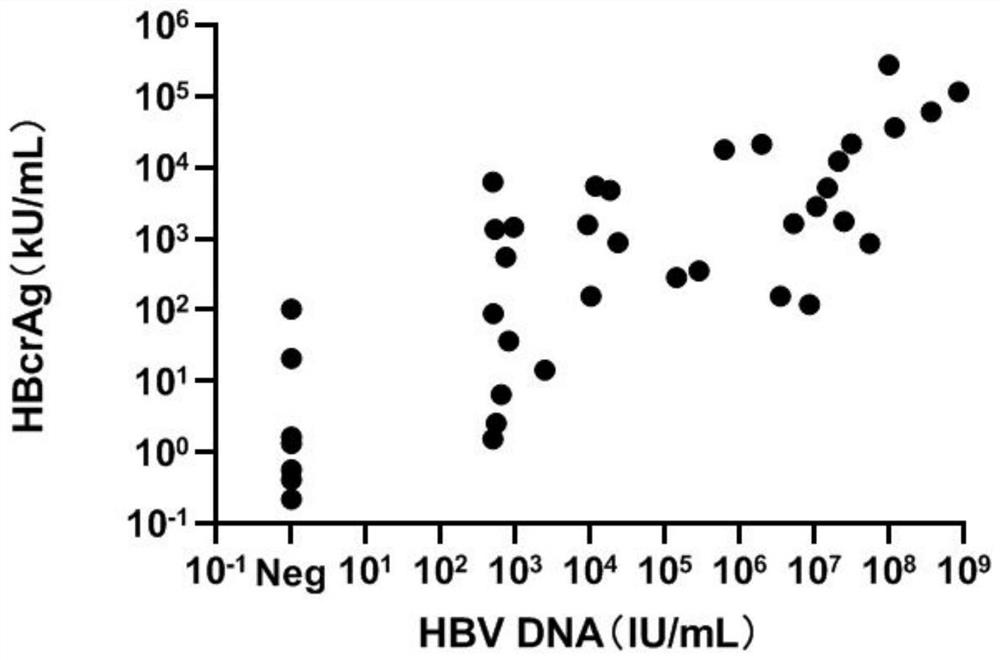 Sample pretreatment solution and kit for combined detection of hepatitis B virus core-related antigens