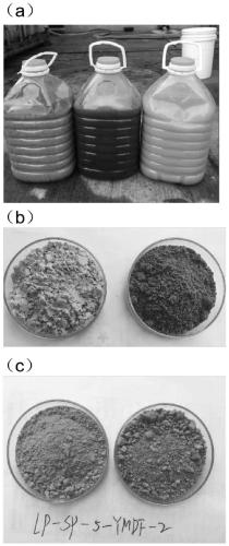 Laying hen feed capable of increasing yolk chroma and realizing accurate proportioning