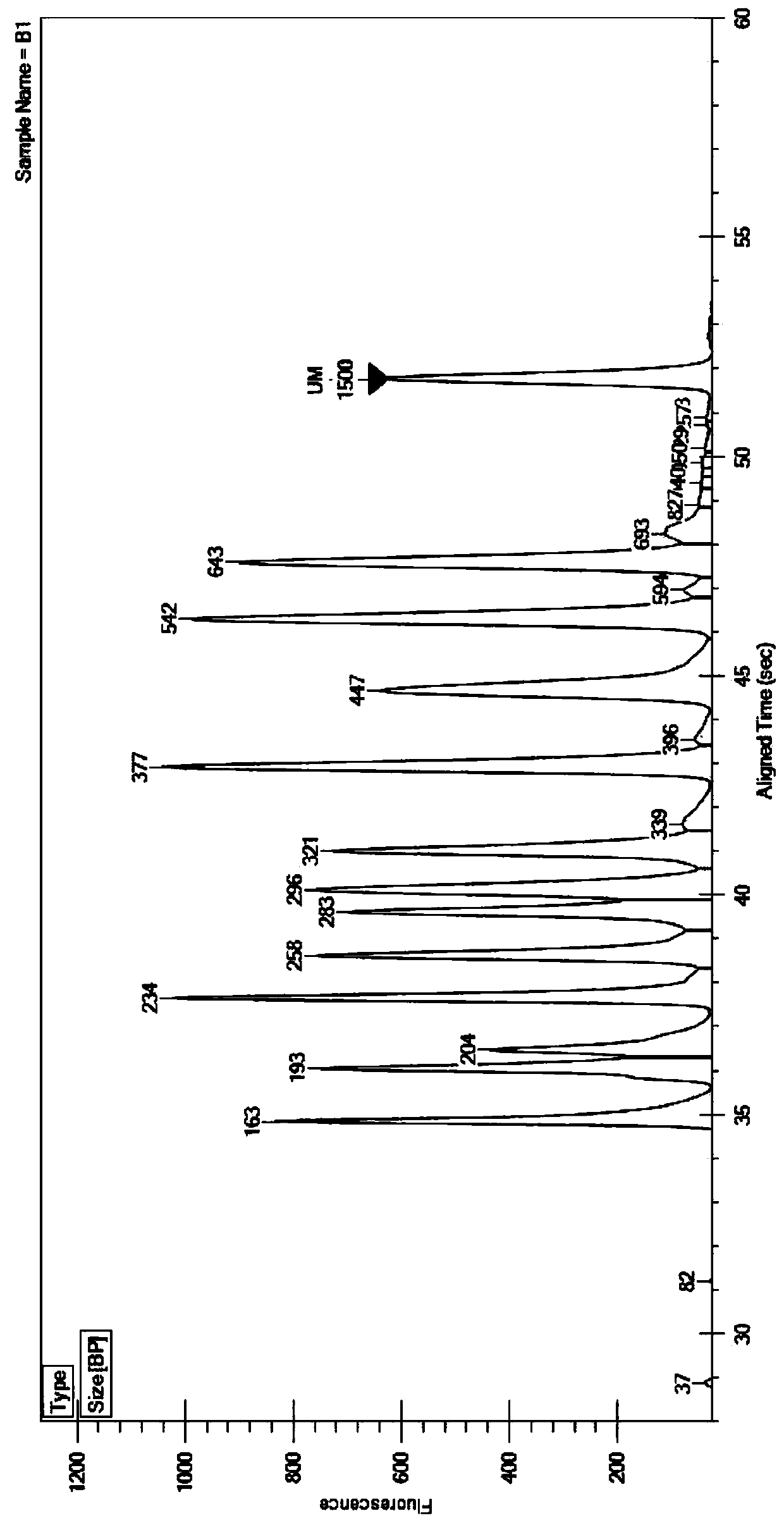 12 Kinds of Encephalitis Virus Nucleic Acid Multiplex PCR Detection Kit and Its Application