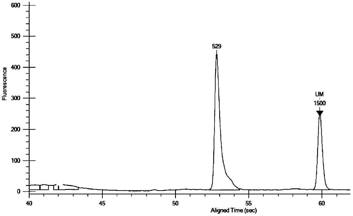 12 Kinds of Encephalitis Virus Nucleic Acid Multiplex PCR Detection Kit and Its Application