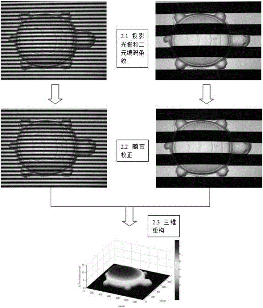 Dualistic structure optical optimization method suitable to rapid three dimensional profilometry