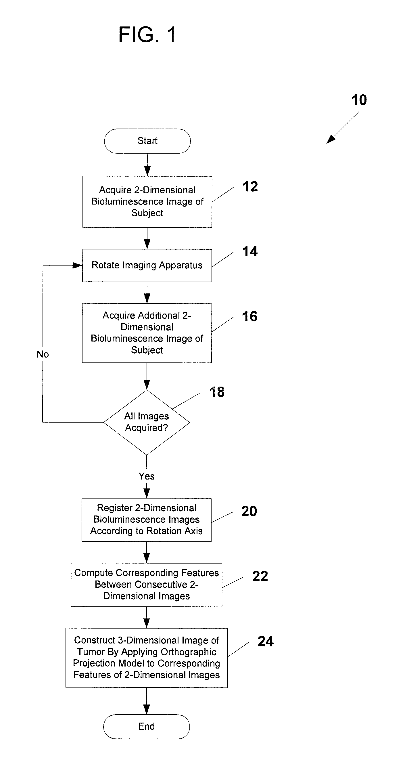 System and Method for Generating Three-Dimensional Images From Two-Dimensional Bioluminescence Images and Visualizing Tumor Shapes and Locations