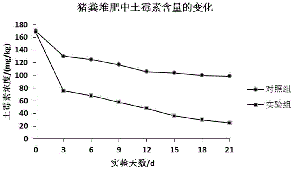 Bacillus cereus as well as preparation and application thereof