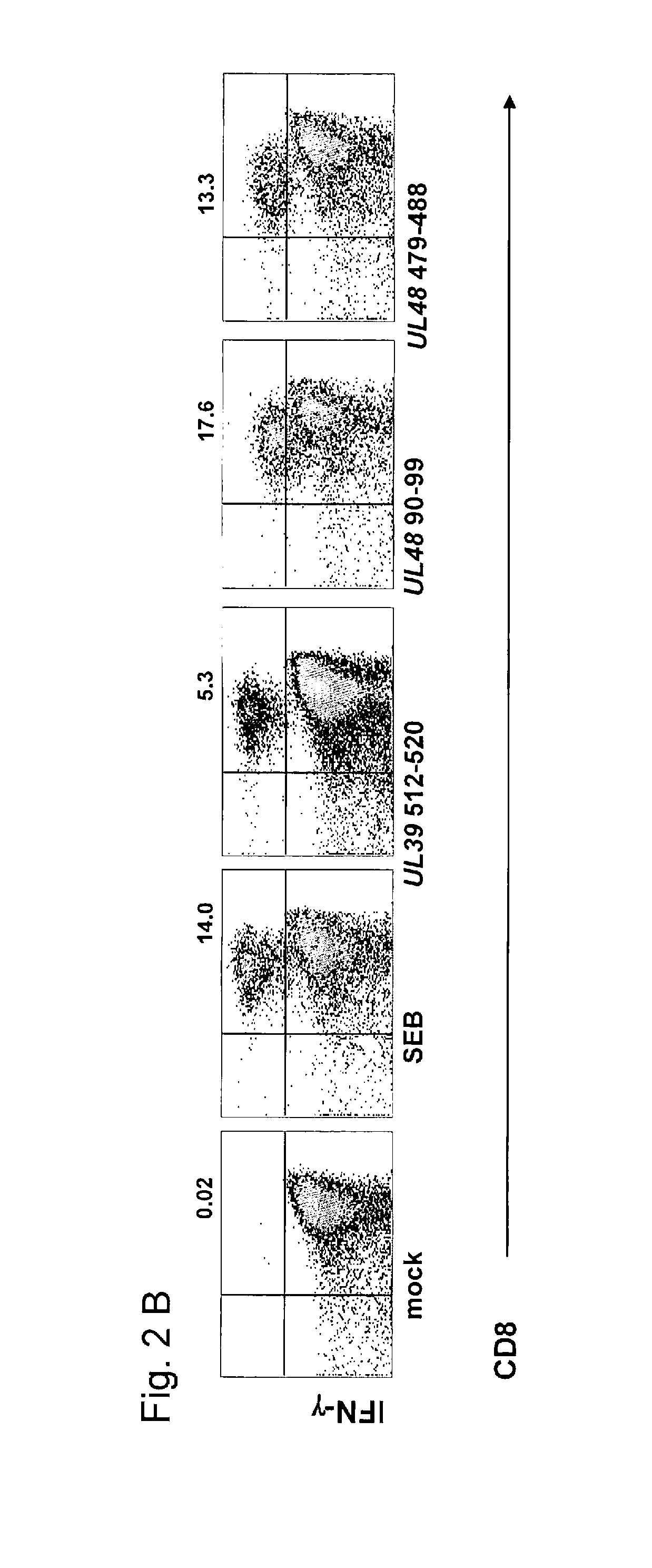Hsv-1 epitopes and methods for using same