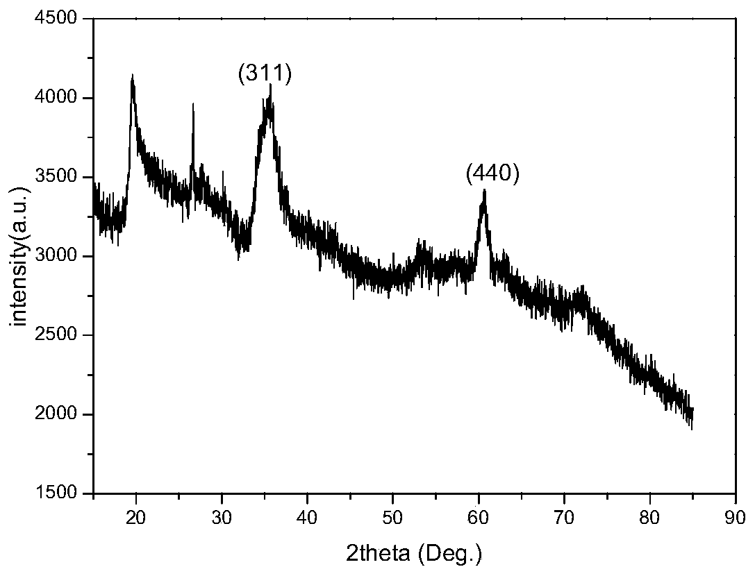 A kind of preparation method of diatomite/magnesium ferrite composite material