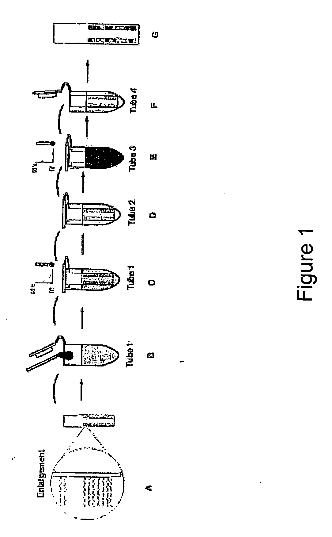 System for detecting polynucleotides