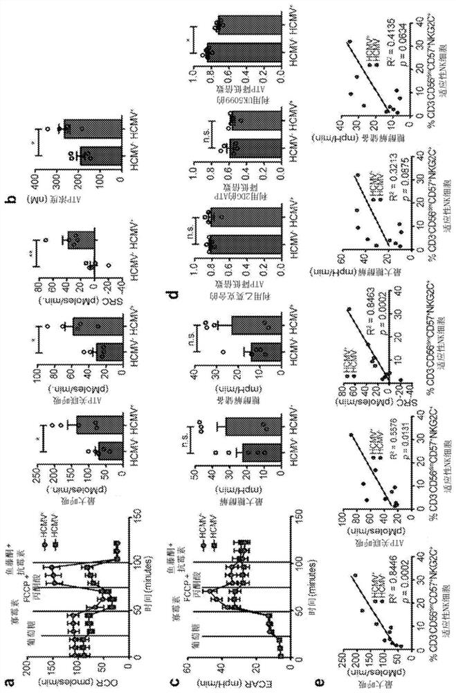 Manipulating arid5b expression in immune cells to promote metabolism, survival, and function