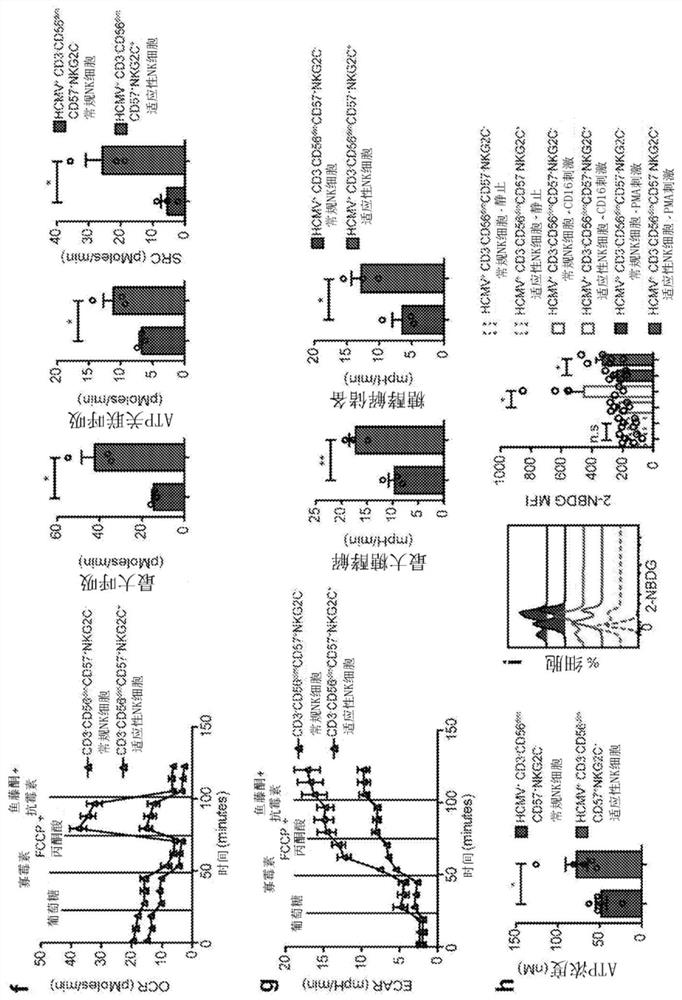 Manipulating arid5b expression in immune cells to promote metabolism, survival, and function