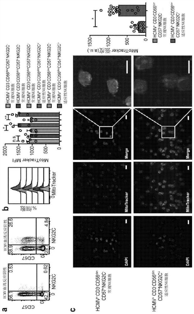 Manipulating arid5b expression in immune cells to promote metabolism, survival, and function