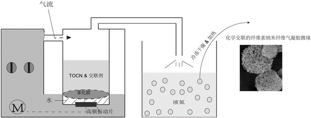 Technique for preparing cellulose nano fiber aerogel microspheres by ultrasonic atomization