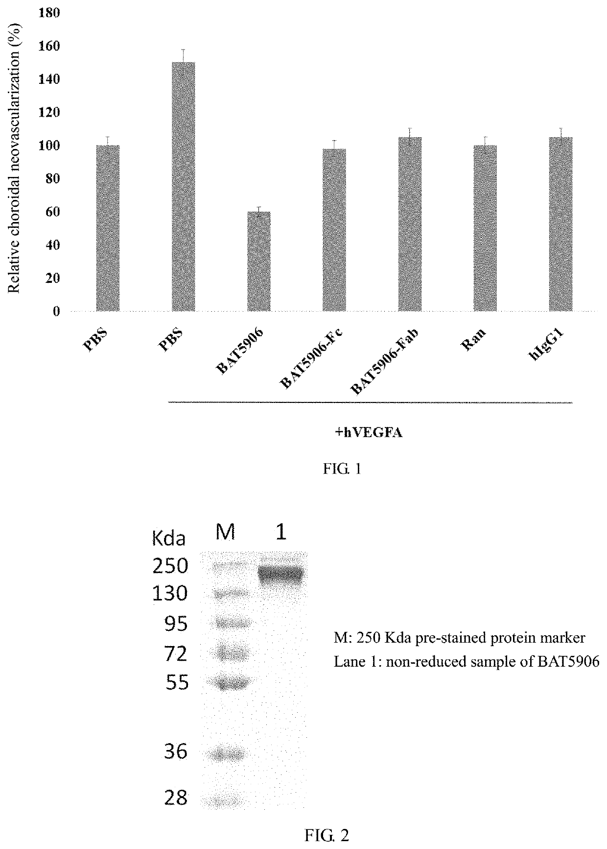 Long-acting and low-toxic recombinant Anti-vegf humanized monoclonal antibody and production method therefor