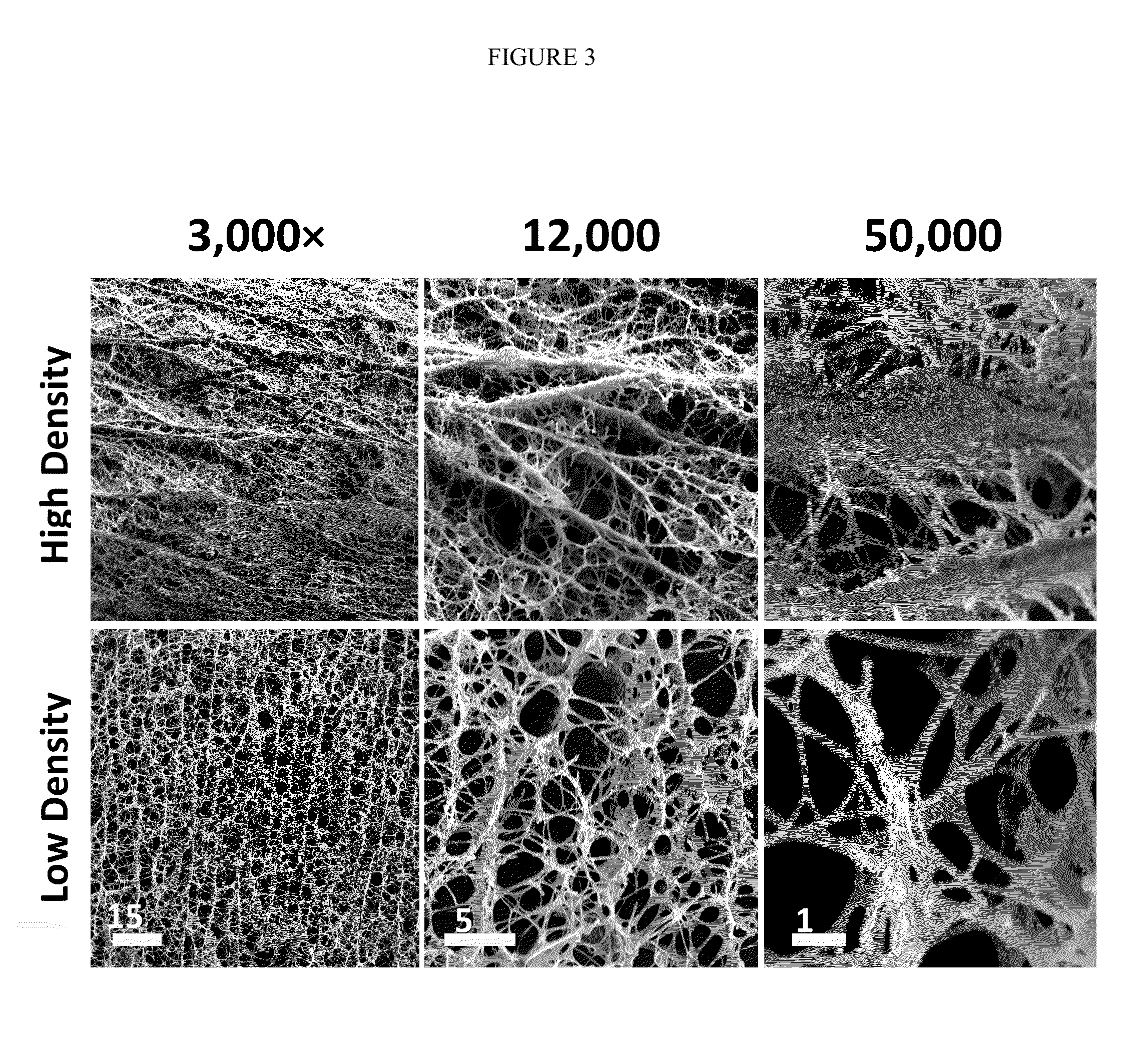 Collagen compositions and methods of use