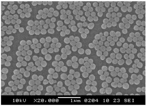 Organic colored microparticles, diagnostic reagent kit, and in vitro diagnosis method