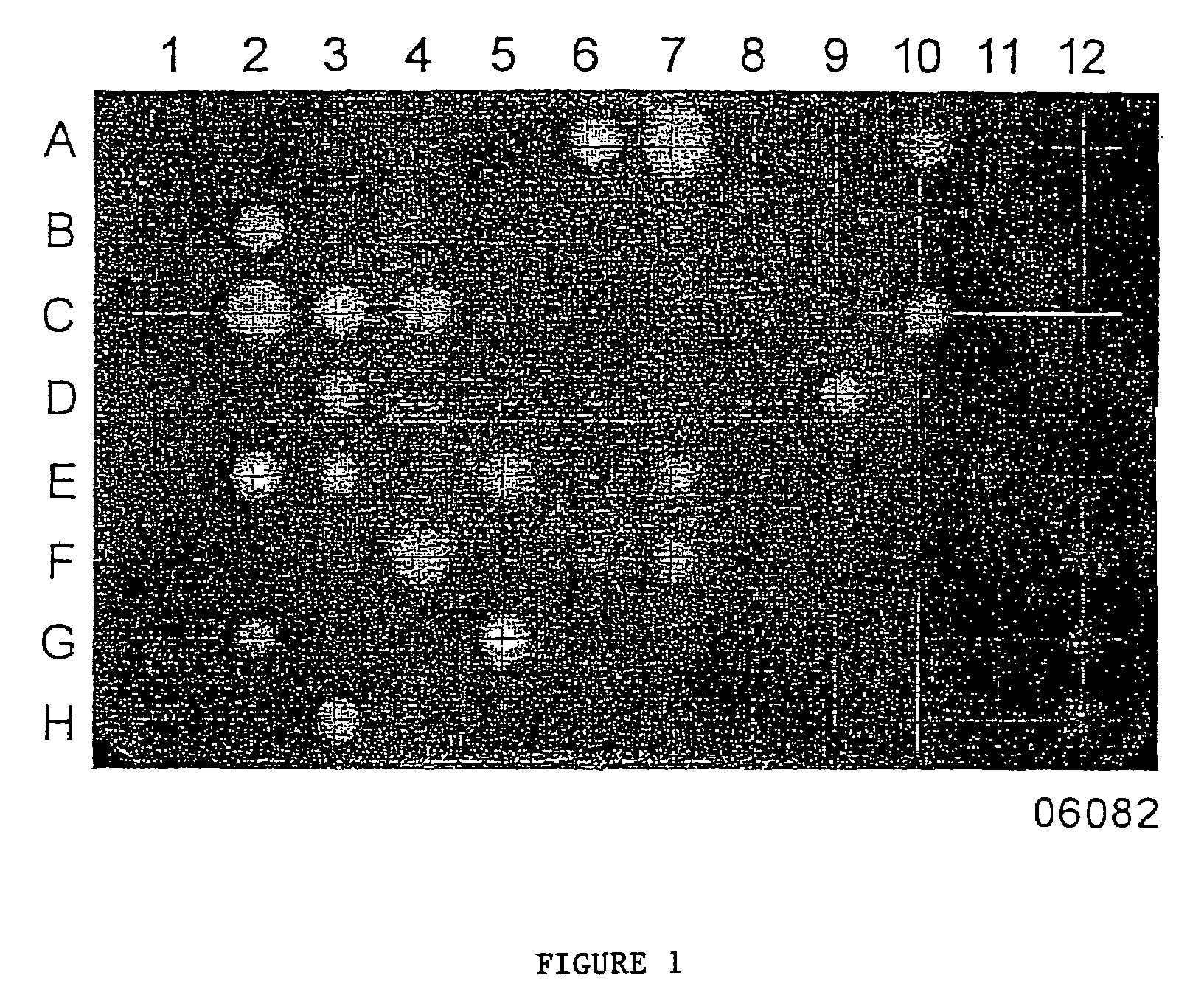 Method for detecting photosynthesis inhibition