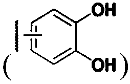 Bleed-free injection needle coated with crosslinked chitosan having introduced catechol group and oxidized catechol group