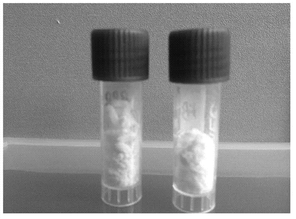 Berberine hydrochloride solid lipid nano preparation and preparation method thereof