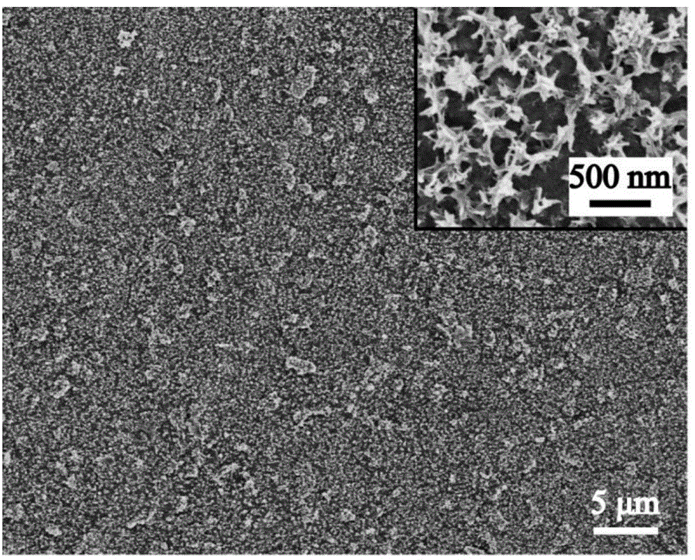 Hydroxyapatite/chitosan composite coating and preparation method thereof