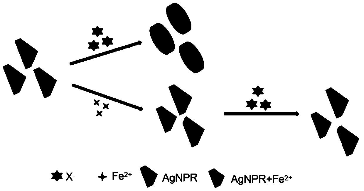 Silver nano triangle protection method based on ferrous ions