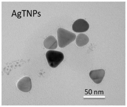 Silver nano triangle protection method based on ferrous ions