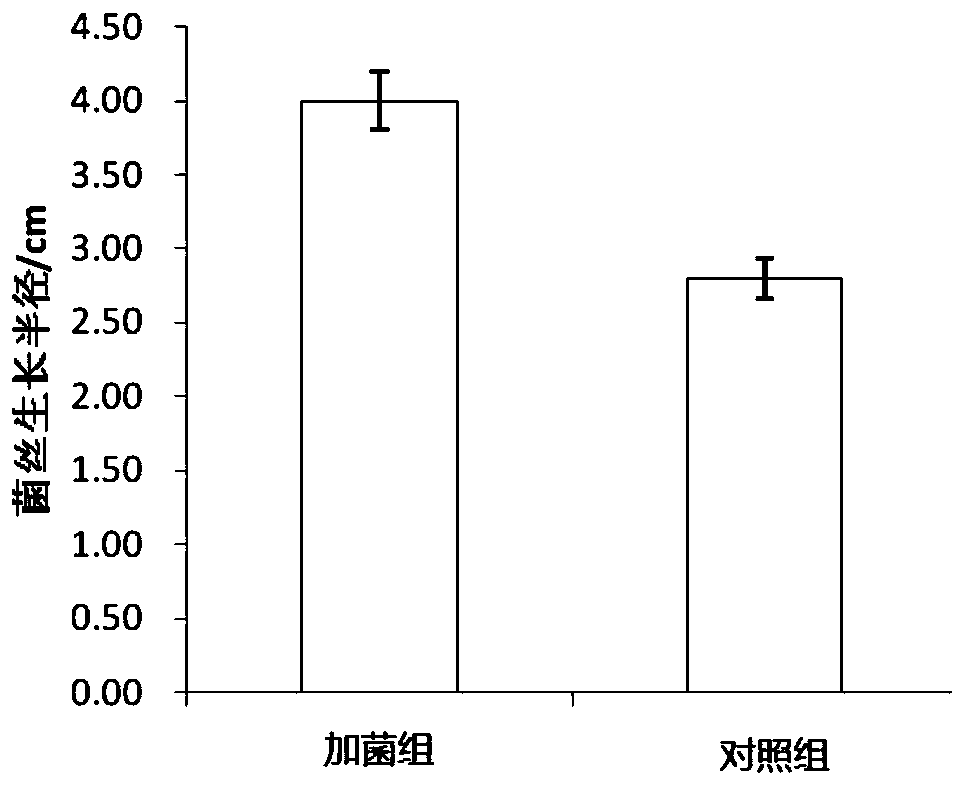 Lysinibacillus S12 and application thereof