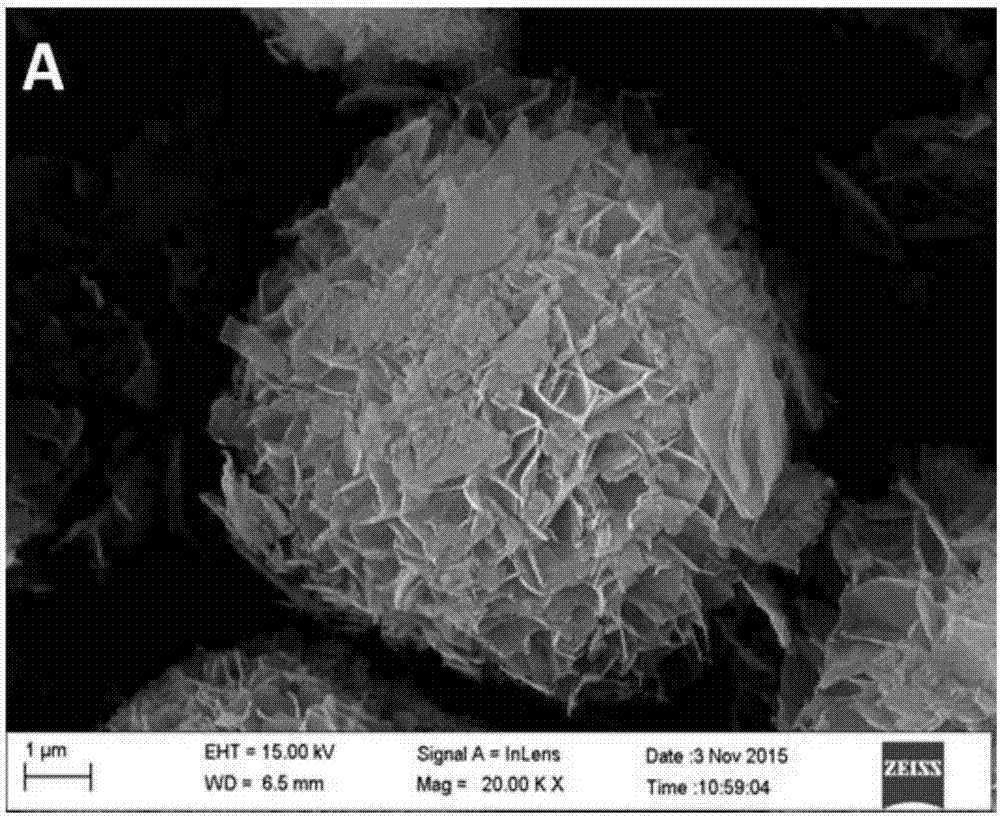 A kind of vanadium pentoxide micro-nano particle and its preparation method and application