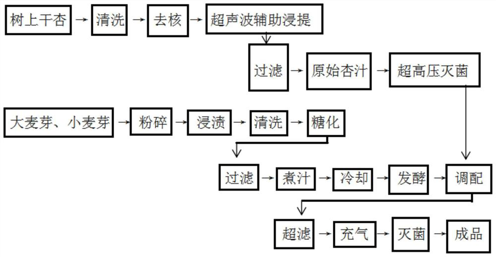 Tree-top dry apricot beer and preparation method and application thereof