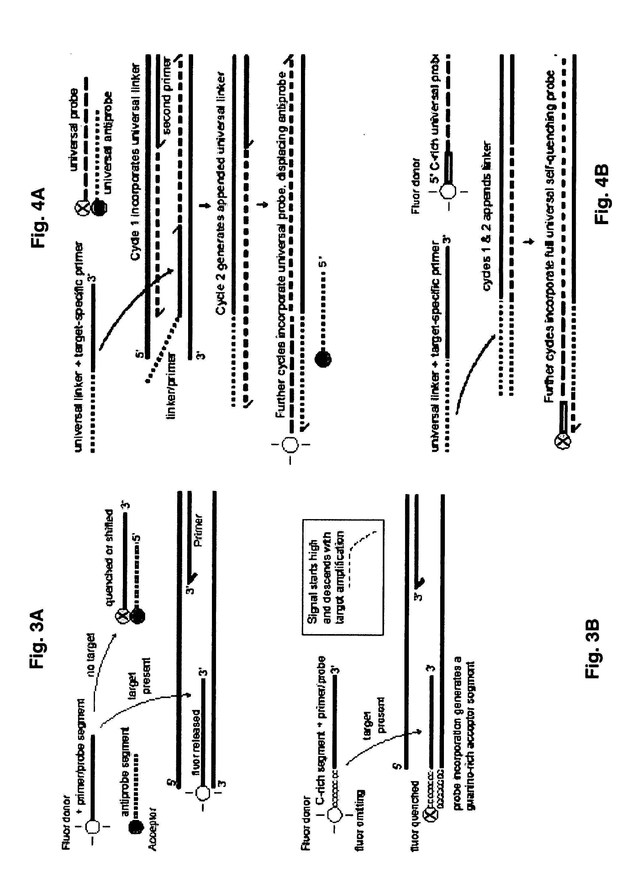 Probe-antiprobe compositions and methods for DNA or RNA detection