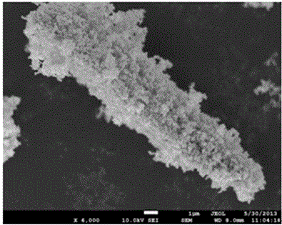 Preparation method for strip-type nano ZnO/cellulose gel material