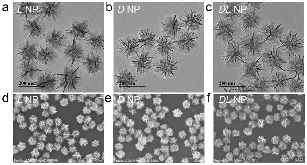 Chiral nano vaccine as well as preparation method and application thereof