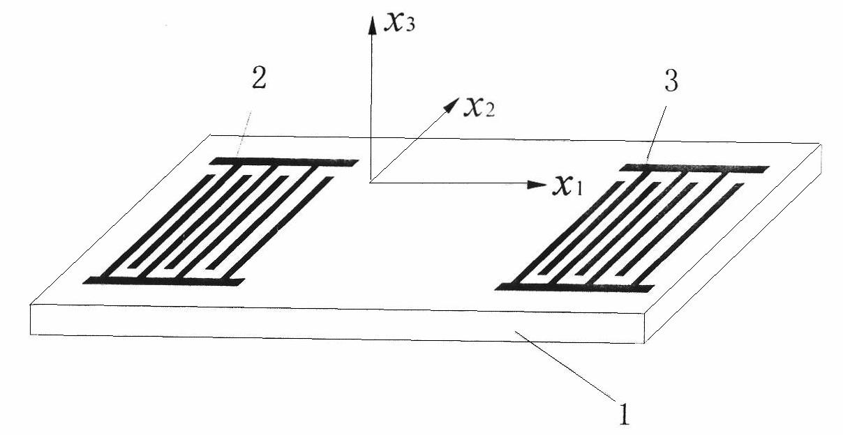 Acoustic plate mode wave virtual array sensor system and liquid detection method based on same
