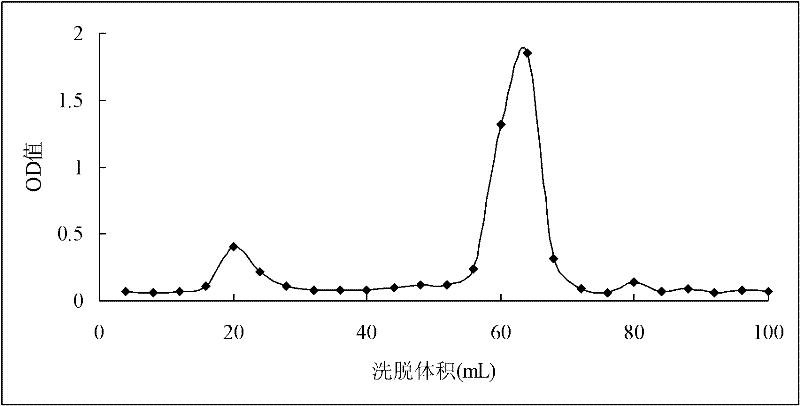 Method for separating neutral longan polysaccharide fraction