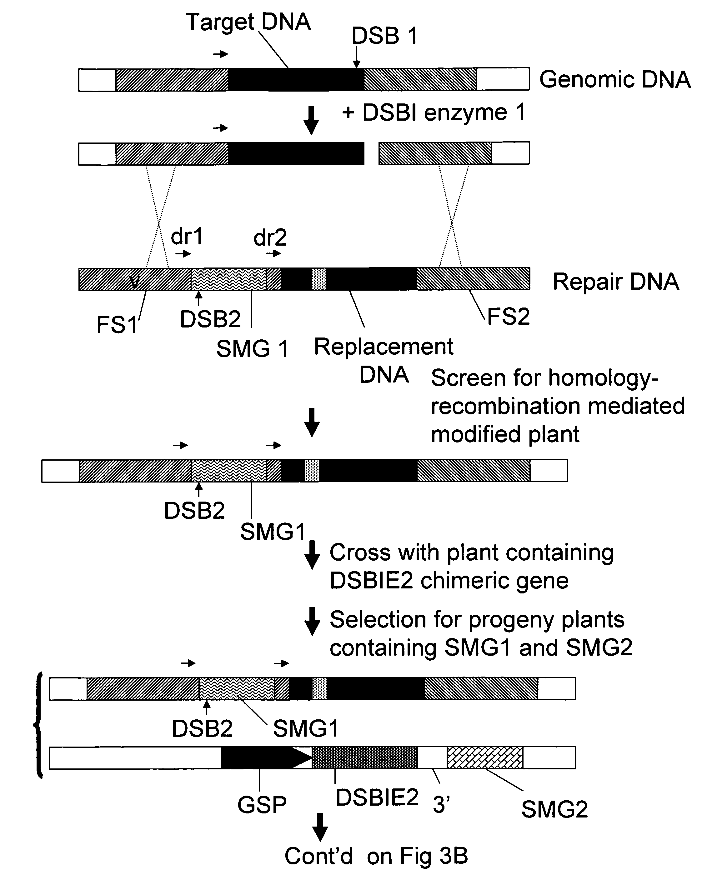 Methods and means for removal of a selected DNA sequence