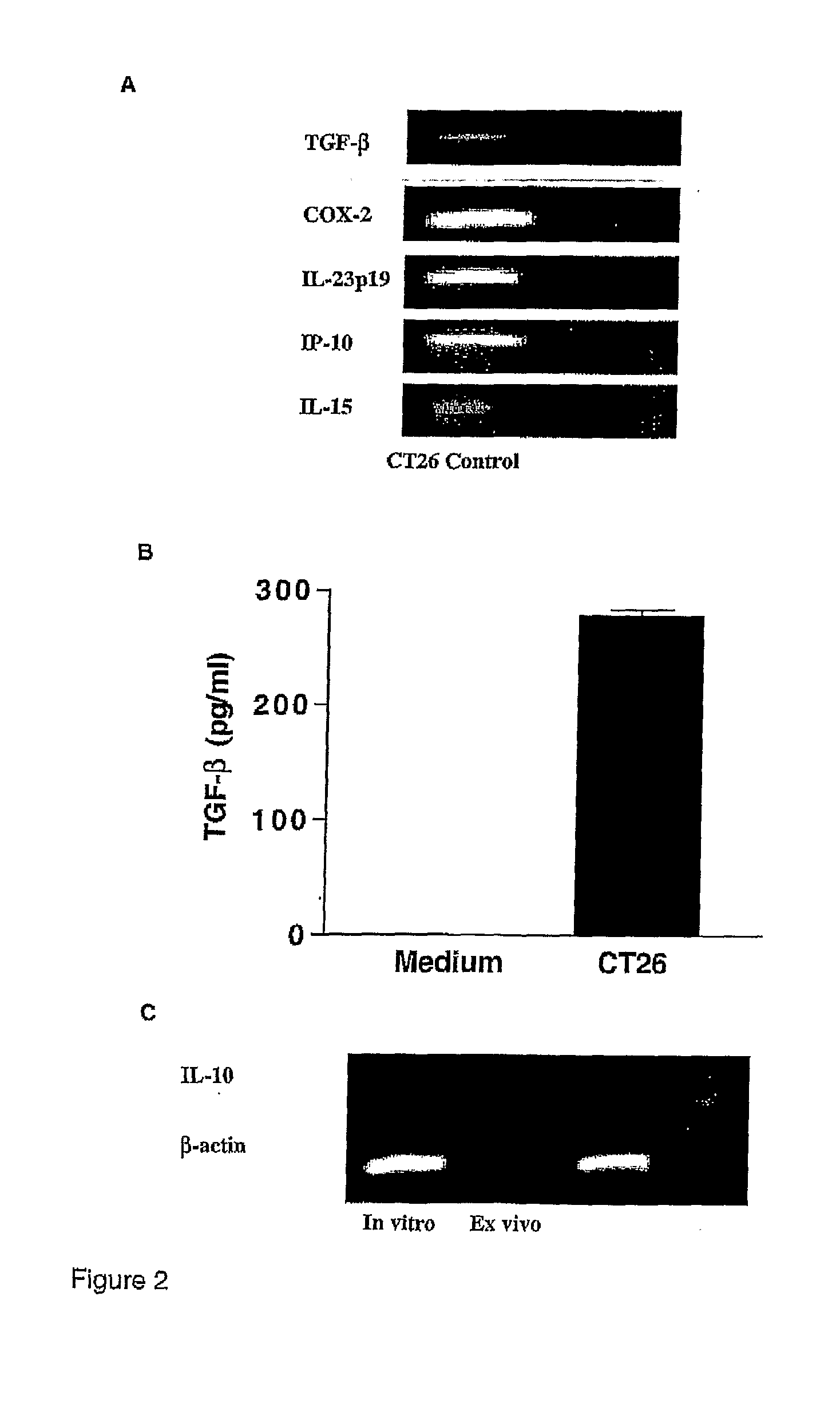Compositions and Methods Relating to Treatment of Cancer and Infectious Diseases