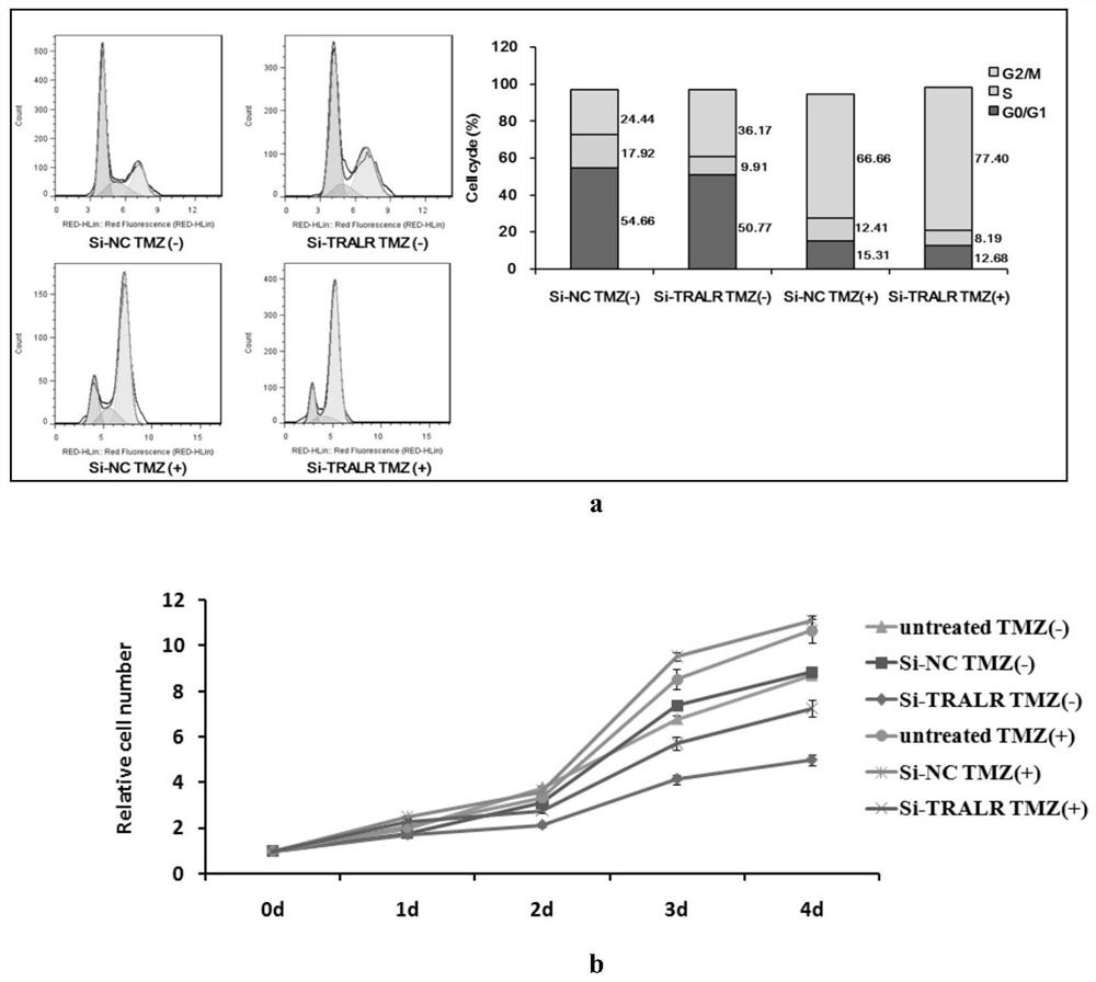 Application of a long non-coding RNA TRALR