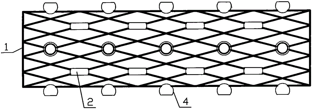 Intracavitary stent for medical radiotherapy and chemotherapy