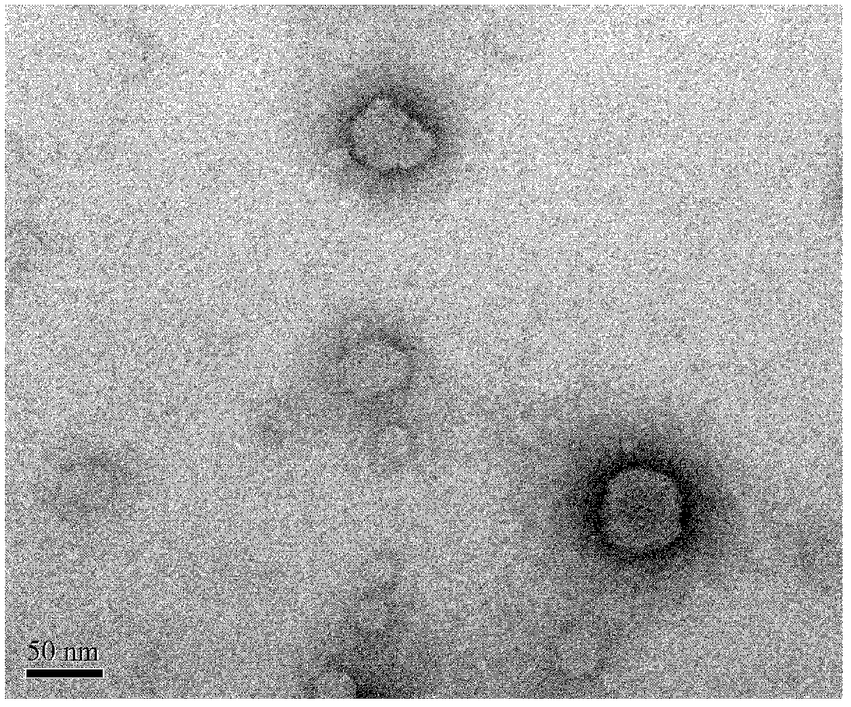 Lidocaine hydrochloride polymer liposome for surface anesthesia and preparation method thereof