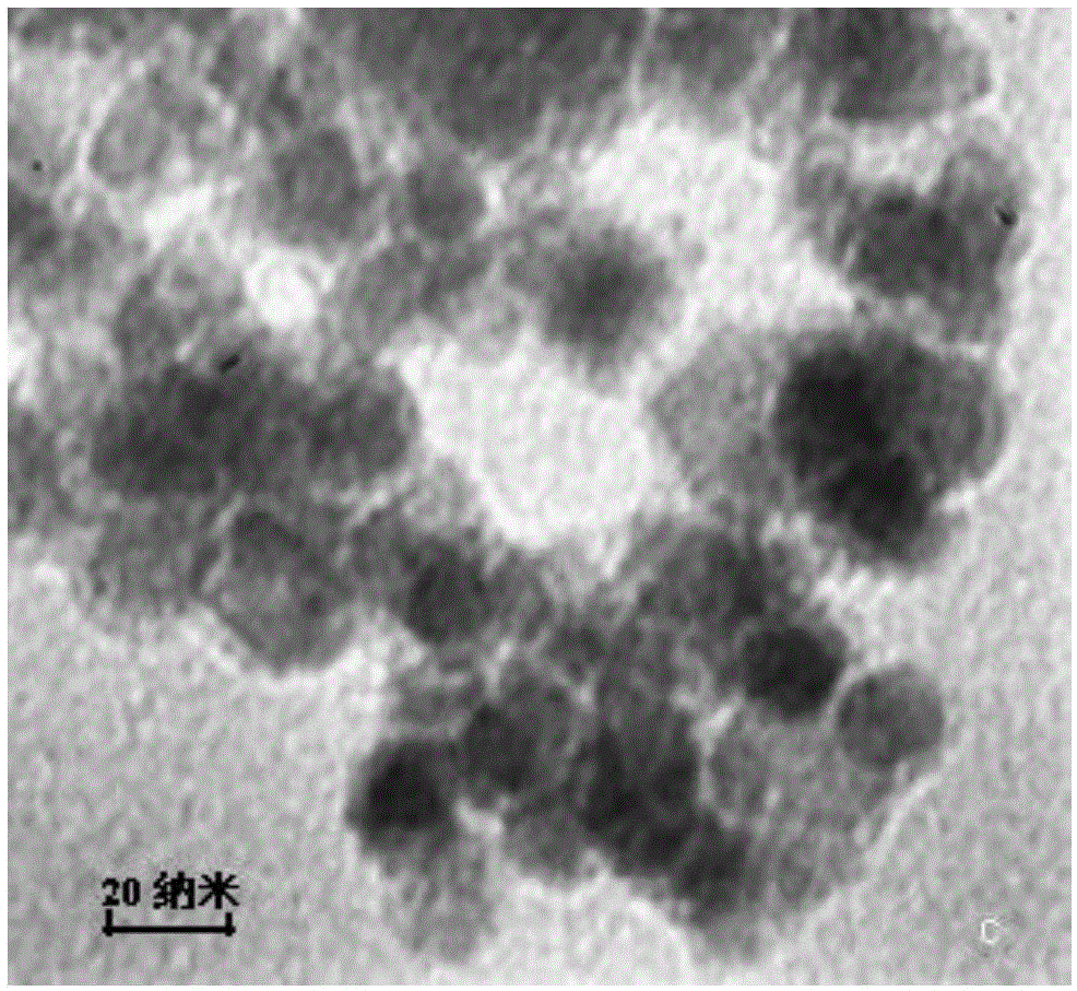 Aptamer-modified magnetic nano material and application thereof in separating ochratoxin A