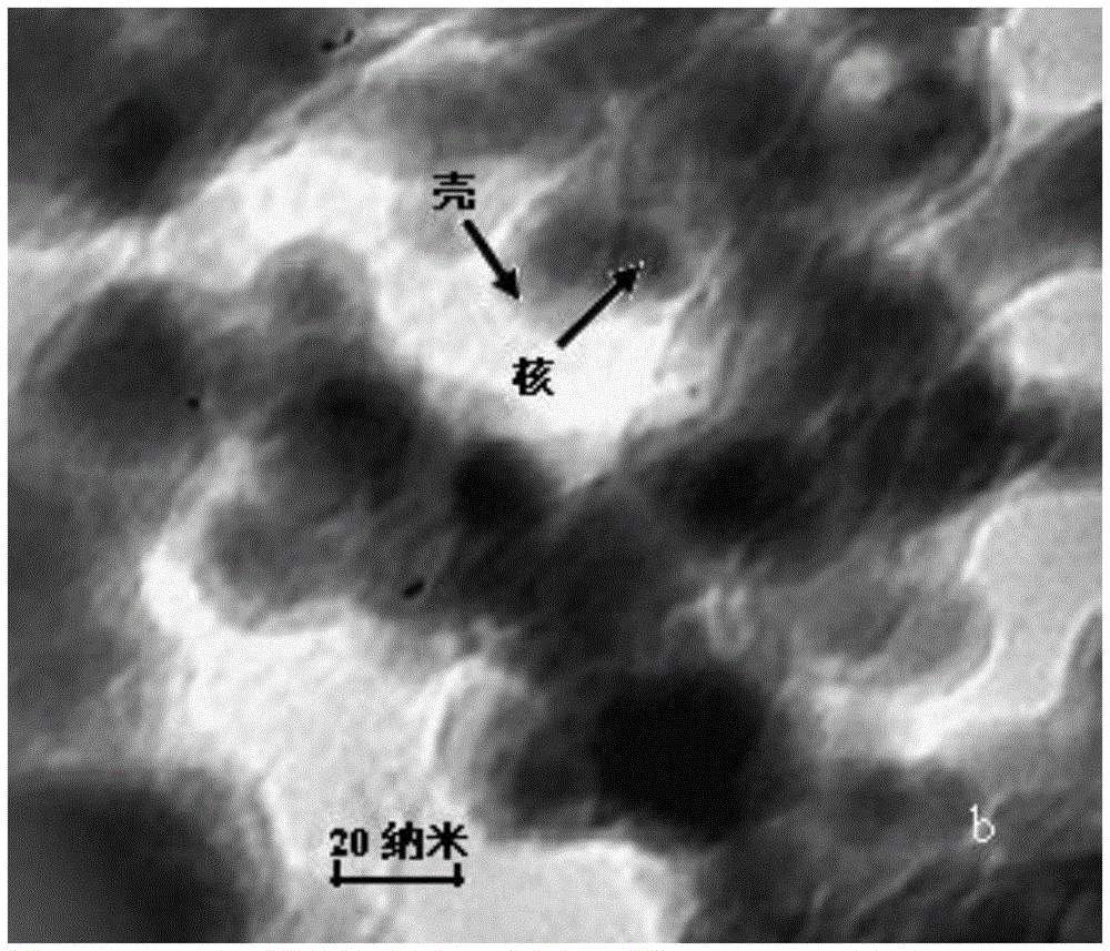 Aptamer-modified magnetic nano material and application thereof in separating ochratoxin A
