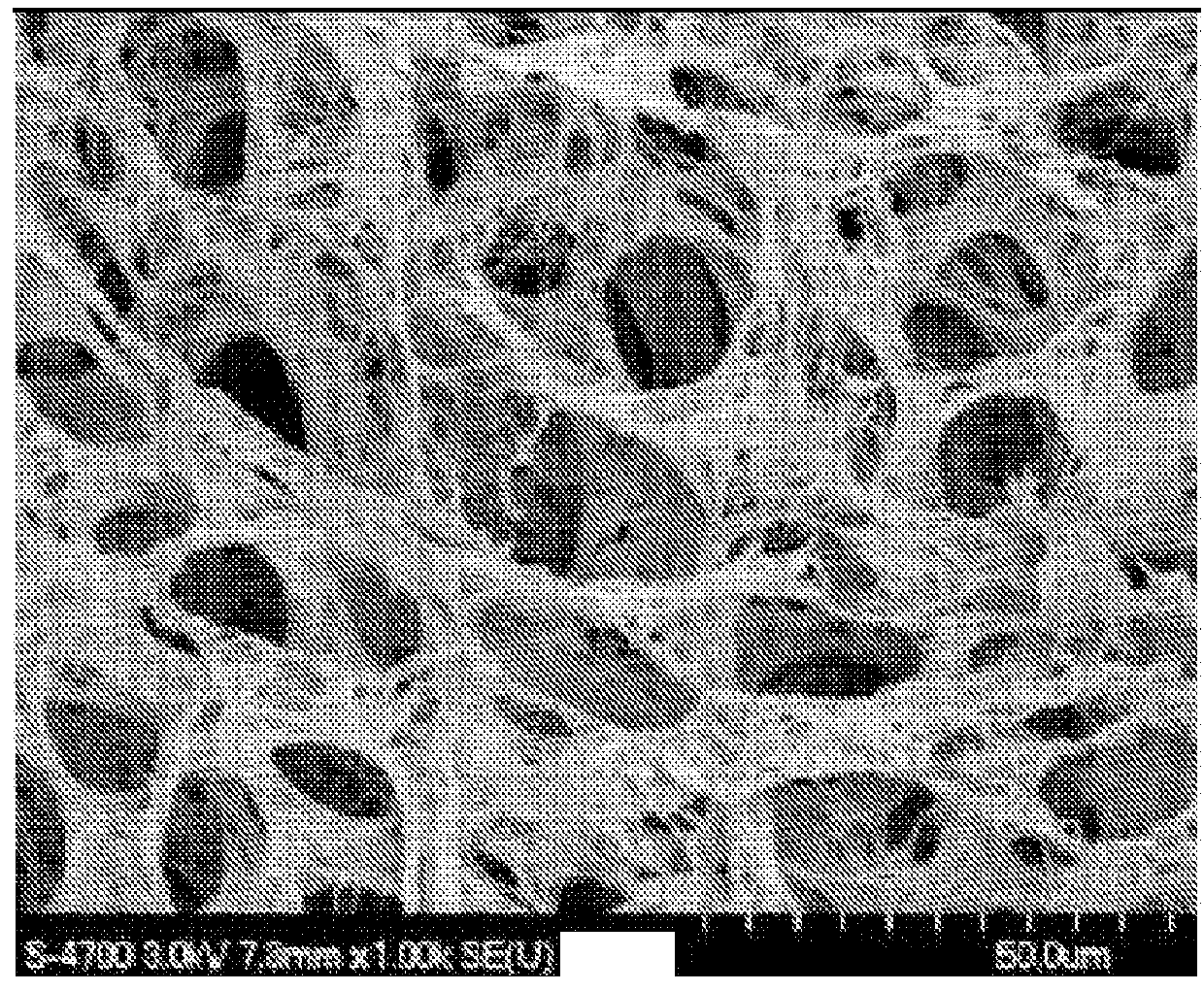 Use of microparticles and endothelial cells with decellularized organs and tissues