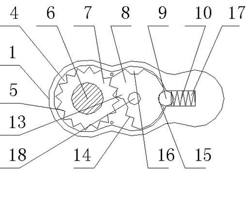 Special bolt driver for bone screw