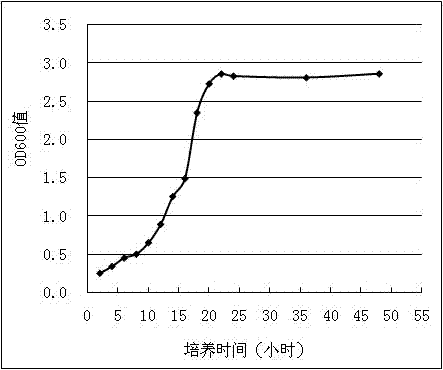 Ruminant micro-ecological functional feed prepared through compound fermentative bacteria solution and preparation method of feed