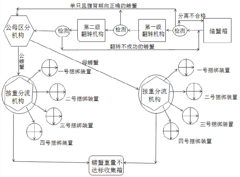 Full-automatic crab binding system